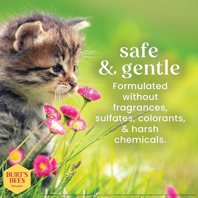 Burt's Bees for Pets Anti-Hairball Wipes for Cats, Sunflower Oil and Wheat Germ Oil, 98% Natural Origin, Cruelty-Free Cat Hairball Remedy Wipes, pH Balanced, Made in the USA, 50 Count