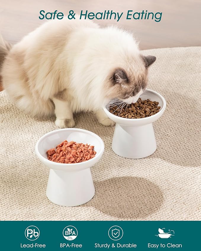 vancasso Elevated Cat Food Bowls 2-Pack, 6.2" Wide Shallow Cat Feeding Bowl for Whisker Fatigue, 5.1" Height Ceramic Raised Food Bowls for Senior Cats, Anti Vomit, White
