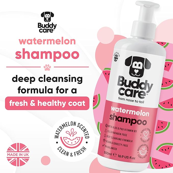Watermelon Dog Shampoo by Buddycare | Dry Skin & Itchy Skin Relief for Smelly Dogs | Deep Cleansing Shampoo for Dogs Puppy Sensitive Skin | Dog Shampoo & Conditioner | with Aloe & Vitamin B5 (16.90oz)