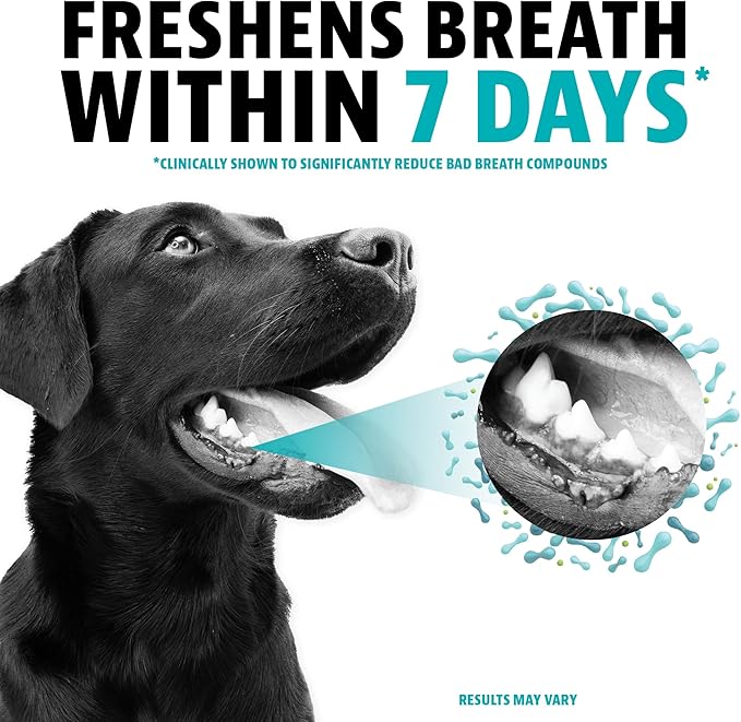 Dinovite Dog Dental Powder, Brush-Free Breath Freshener & Teeth Cleaning Dental Care Powder with Probiotics & Postbiotics, Oral Care Bad Breath Treatment, Large Dogs, Made in USA, 30 Day Supply