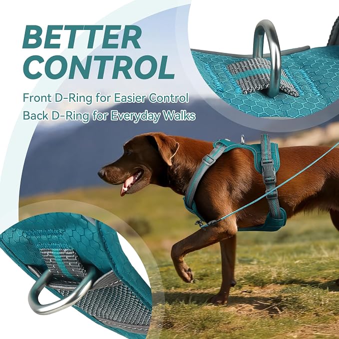 VIVAGLORY No Pull Dog Harness Vest Harness, XS, Hunter Teal - Patterned | with Handle Front and Back Clip for Training & Pulling, No Pull & Escape Proof Padded Adjustable for Pet Puppy