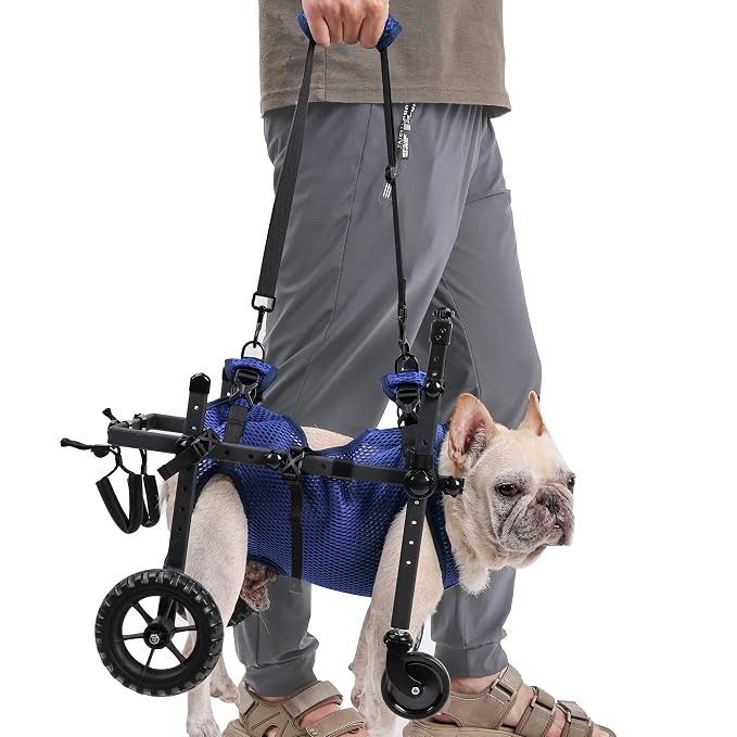 Quad Dog Wheelchair for Disabled Dogs, 4-Wheel Mobility Cart with Harness | Stable 4-wheel support with breathable harness helps senior and disabled dogs move with greater comfort and confidence.
