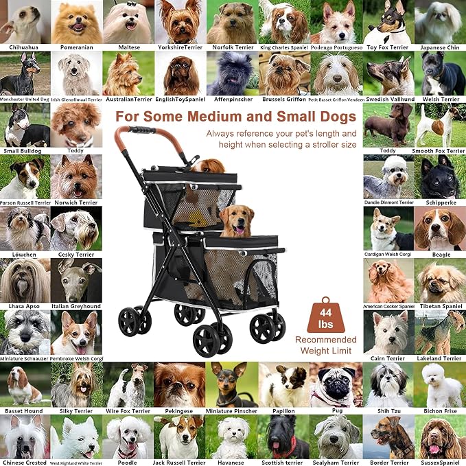 Double Pet Stroller for 2 Dogs & Cats, Double-Decker, Black | One-Hand Fold Two-Tier Stroller with Separate Cabins, 44 lb Capacity, 4 Tethers, Locking Front Wheels and Rear Brakes