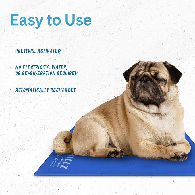 The Green Pet Shop Chillz Gel Mat, Medium - Pressure-Activated Cooling Pad for Pets 0-25 lbs - Non-Toxic, No Water or Refrigeration Needed - Ideal for Home, Travel & Crates