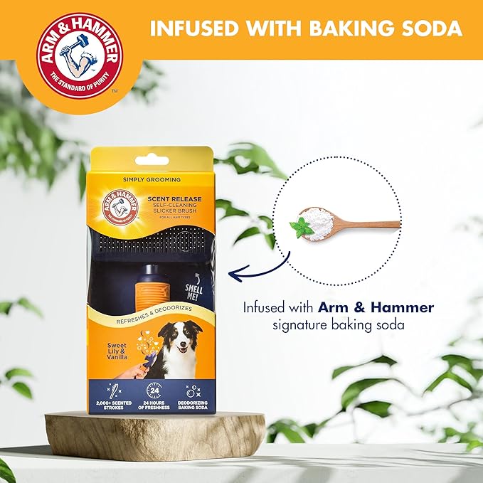 Arm & Hammer Deodorizing Slicker Brush for Dogs, Fragrance Transfer Technology with Baking Soda, Self-Cleaning Button, Removes Loose Fur & Tangles, Dog Grooming Brush, Sweet Lily & Vanilla