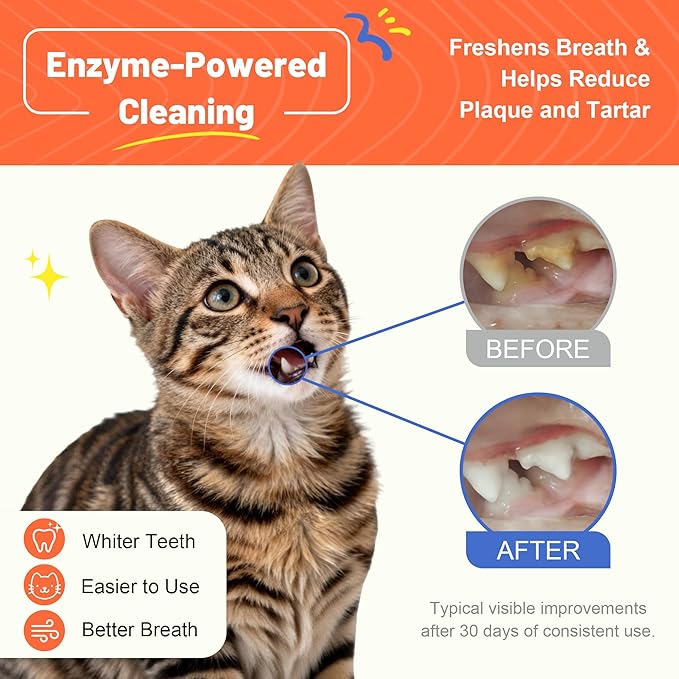 Cat Toothbrush and Toothpaste Kit - Salmon Flavor Enzymatic Cat Toothpaste for Plaque & Tartar Control - Includes a Long Handle Brush & a Soft Silicone Finger Brush for Felines, 1.06 oz