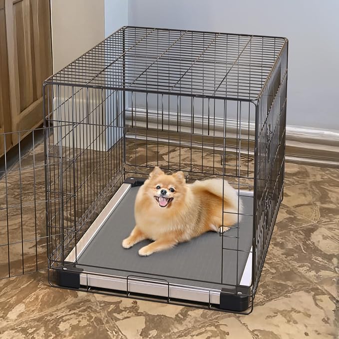 FXW TitanNest Padded Chew-Proof Elevated Dog Bed for Extra-Small Dogs | Easy to Clean, Pre-assembly Raised Cot, Indoor/Outdoor/Camping, 29 x 18 x 4.5in