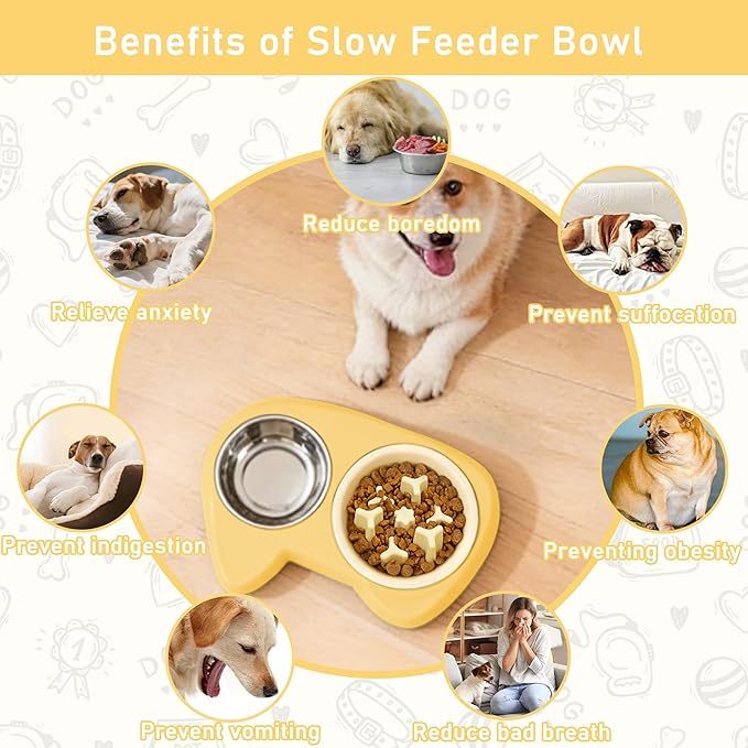 4 in 1 Slow Feeder Dog Bowls, Anti-Choking Dog Bowl Set with Non-Slip Silicone Mat, Slow Feeder Bowl, Stainless Steel Water Bowl, Standard Bowl for Small Medium Dogs Cats Puppies