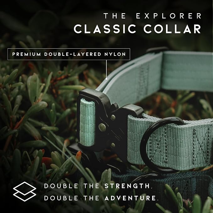 MADE TO ROAM Explorer Dog Collar | Heavy Duty Nylon & Durable Metal Buckle | Premium adjustable collar with rust-resistant hardware. Fits small to large dogs. 15 colors. Matching leash & harness