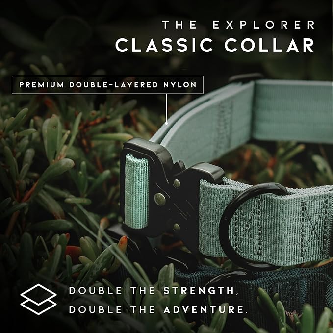 MADE TO ROAM Explorer Dog Collar | Heavy Duty Nylon & Durable Metal Buckle | Premium adjustable collar with rust-resistant hardware. Fits small to large dogs. 15 colors. Matching leash & harness