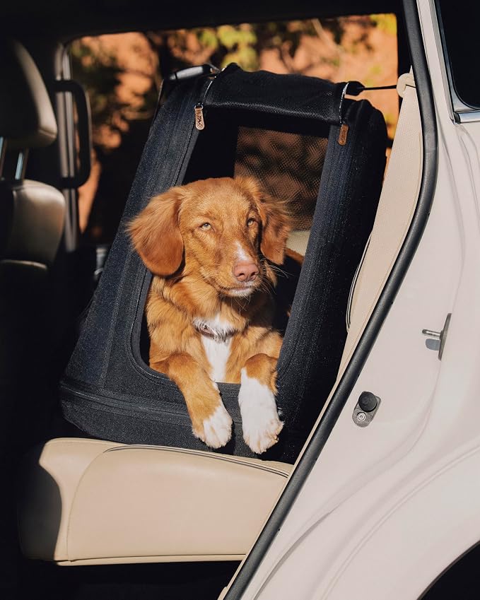 TAVO Pets Crispin Crash-Tested Dog & Cat Car Crate, Onyx, Medium