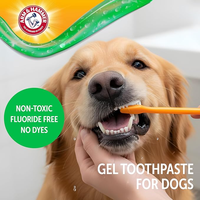 Arm & Hammer Complete Care Dental Gel, Gel-Style Dog Toothpaste - Fresh Breath, Tartar Control, Gentle on Enamel, Fluoride Free - Baking Soda Enhanced Dental Dog Supplies, Chicken Flavor, 2.5oz