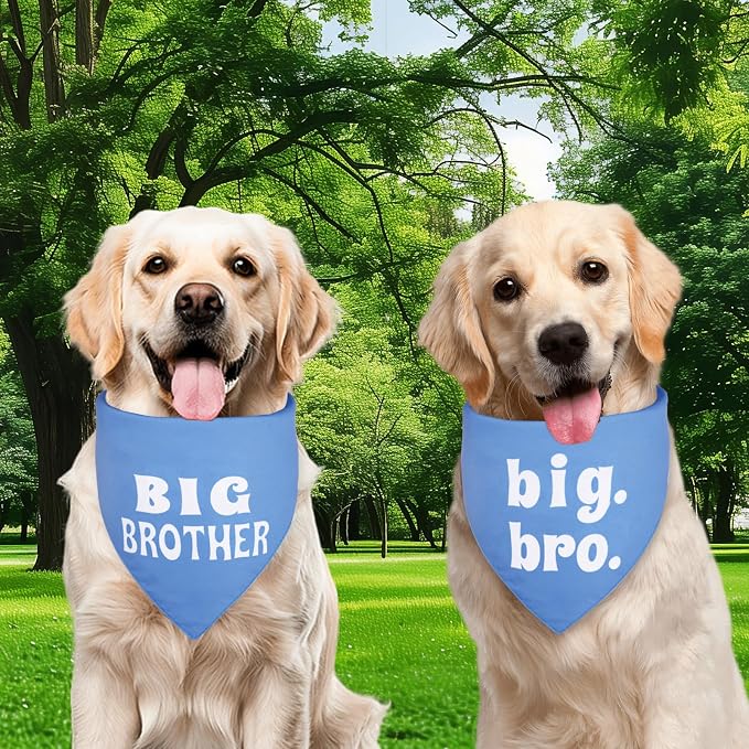 Big Brother Dog Bandana Blue XLarge 1PCS, Adjustable Triangle Scarf | Pregnancy Announecment, New Baby for Family.