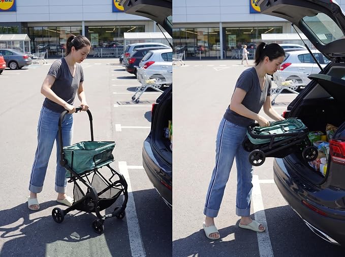 Pet Stroller for Small 2 Dog Cat Puppy Grocery Shopping Cart | Travel Airplane Mini Lightweight Compact Portable Collapsible Foldable 3-in-1 Medium 20 lbs Doggy Buggy Carriage Carrier Bag