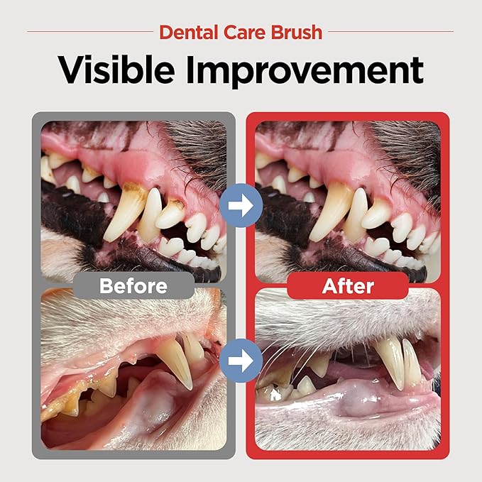 JAYU PET Dental Care Brush (Soft Bristles) 3ea - Dog Toothbrush, Cat Toothbrush, Dental Care for Kitten and Small Dogs, Removing Old Plaque and Tartar, Cat Teeth Brushing & Easy Cleaning