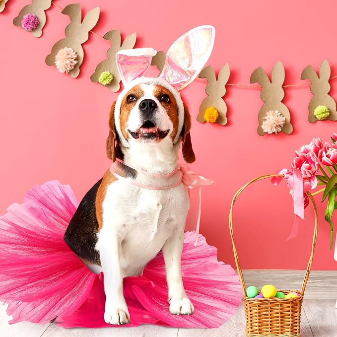 2 Pcs Dog Crown Headband Dog Tutu Dress Set Crystal Rhinestone Tiara Crown Tutu Skirt Pet Dress Costume for Puppy Birthday Party Wedding Photo Prop Costume(X-Large,Rose Red)