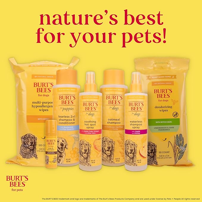 Burt's Bees for Pets Calming Dog Shampoo with Lavender and Green Tea, 95% Natural Origin, pH Balanced, No Sulfates, Soothing Lavender Scent, for All Dog Breeds, 16 Fl Oz - 6 Pack