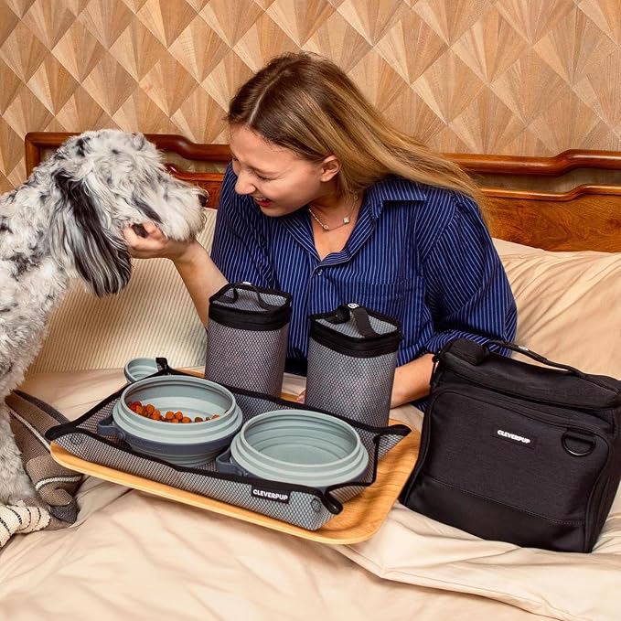 Large 7-Piece Bistro Box Dog Food Travel Kit, 12 Cup BPA-Free Kibble Storage, 2 Silicone Bowls, Mat & Scoop - Portable Pet Food Kit for Weekends, Overnights, Daycare & Camping, Graphite