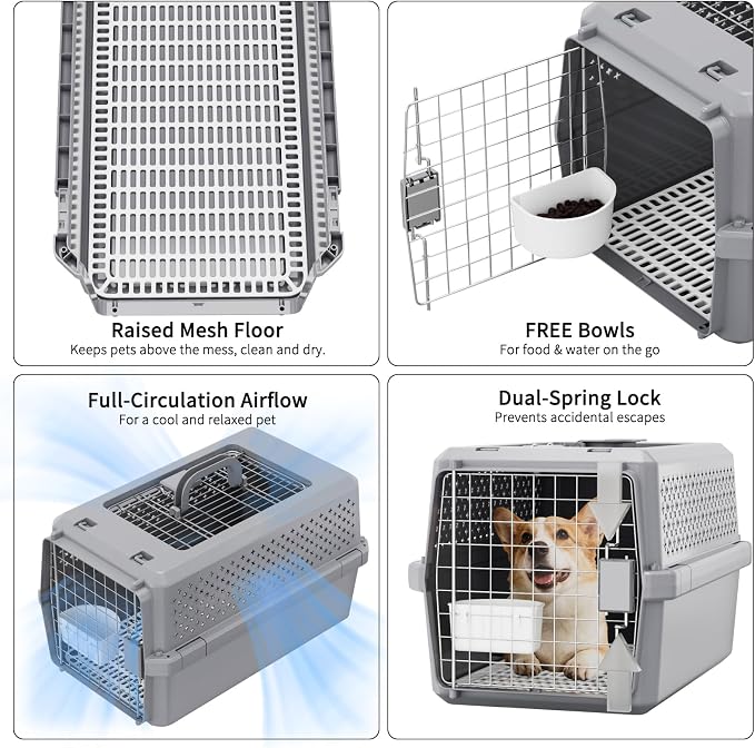 Hard-Sided Elevated Carrier: Rolling Pet Crate Ventilated 25 lbs | Smooth-Rolling Wheels & Pull Strap / Top Access Door / Spacious Interior / 360° Ventilation / Includes Feeding Bowl