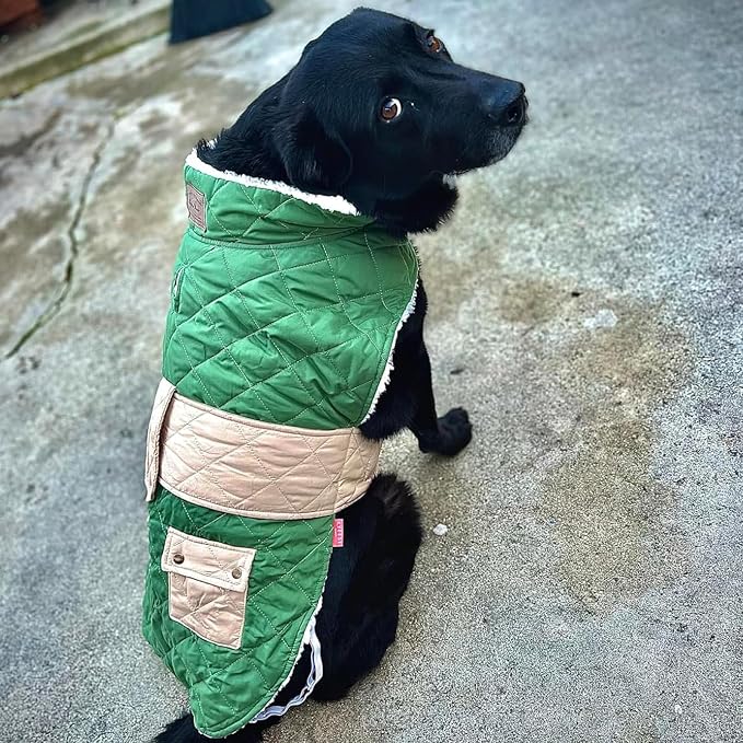 KYEESE Waterproof & Windproof Dog Coat for Medium Large Dogs Puffer Jacket
