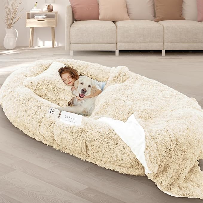 ROOMTEC Human Dog Bed, 71''x45''x12'' Size Fits Adult and Pet Washable Giant People Bed 10 CM Thick Memory Foam Large Oversize Pet Bed with Plump Pillow, Blanket, Strap - Beige