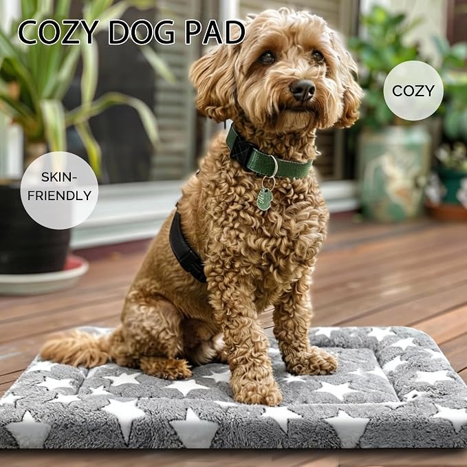 Dog Bed Mat, Reversible Crate Pad, Machine Washable for Small Dogs | Ultra soft plush, dual-sided cool/warm, machine washable kennel mat for small dogs, cute travel bed