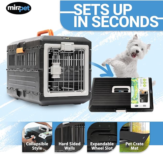 Collapsible Pet Carrier for Small Cats & Dogs, 21.5"L x 12"W x 14"H | Hard-Sided Crate Walls, 360-Degree Ventilation, Tool-Free Snap Assembly, Folds Flat to 5.5 In, for Travel & Storage