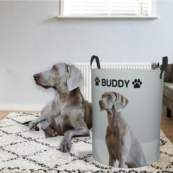 Personalized Large Dog Toy Storage Basket Bin Collapsible Custom Pet Stuff Box Chest Container for Living Room Organizer for Dog Toys,Dog Food,Blankets,Clothing (Grey)