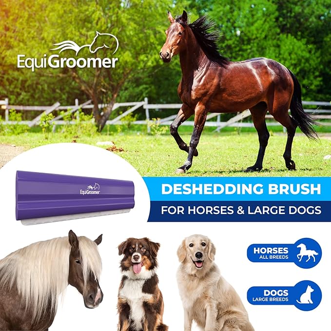 EquiGroomer Deshedding Brush, 8-Inch for Horses and Large Pets, Purple, Removes Loose Dirt, Hair, and Fur, Professional Undercoat Grooming Tool