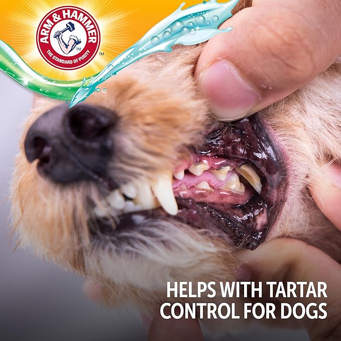 Arm & Hammer Complete Care Brushless Dental Kit for Dogs – Includes No-Brush Oral Gel + Dog Dental Spray, Fresh Breath, Tartar Control, Baking Soda Enhanced Dental Dog Supplies, 4oz