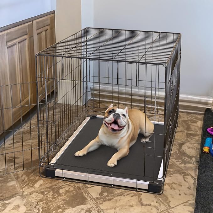 FXW TitanNest Padded Chew-Proof Elevated Dog Bed for Small Dogs | Easy to Clean, Pre-assembly Raised Cot, Indoor/Outdoor/Camping, 35 x 22 x 4.5in
