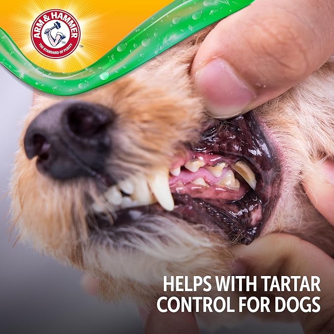Arm & Hammer Complete Care Brushless Oral Gel for Dogs, No-Brush Toothpaste Formula, Fresh Breath, Tartar Control - Baking Soda Enhanced Dental Dog Supplies, Peanut Butter Flavor, 4oz