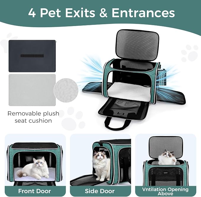 BAGLHER Pet Travel Carrier, Cat Carriers Dog Carrier for Small Medium Cats Dogs Puppies, Airline Approved Small Dog Carrier Soft Sided, Collapsible Puppy Carrier. Green
