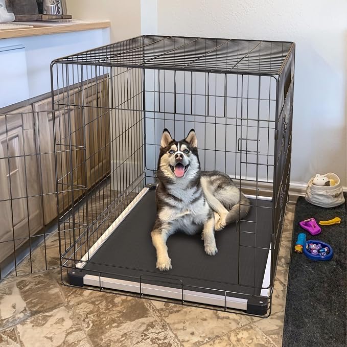 FXW TitanNest Padded Chew-Proof Elevated Dog Bed for Medium Dogs | Easy to Clean, Pre-assembly Raised Cot, Indoor/Outdoor/Camping, 41 x 27 x 5.0in