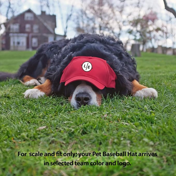 Littlearth Unisex NHL Pet Baseball Hat