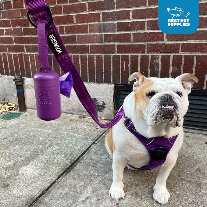 Best Pet Supplies Dog Poop Bag Holder Leash Attachment with Reusable Dispenser for Travel, Walking, Park, and Outdoor Use, Durable with Clip-On - Black, Pack of 2, Plastic Dispenser w/30 Bags