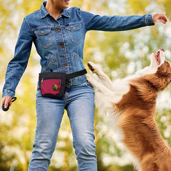 2 Cup Dog Treat Pouch with Training Clicker(Black/Red) | 2 Pair Magnetic Closures, Zipper Pocket with Poop Bag Holder, Waist Belt & Metal Clip to Wear for Pet Training/Daily Walking