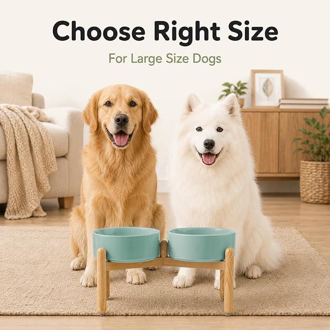 Havniva Ceramic Dog Bowls Elevated, Raised Dog Food Bowl for Large Dogs | 8.3” Elevated Dog Bowls, Non-Slip Wood Stand, Dog Food and Water Bowl Set, Dog Feeding Dish, Large Capacity Pet Water Bowl
