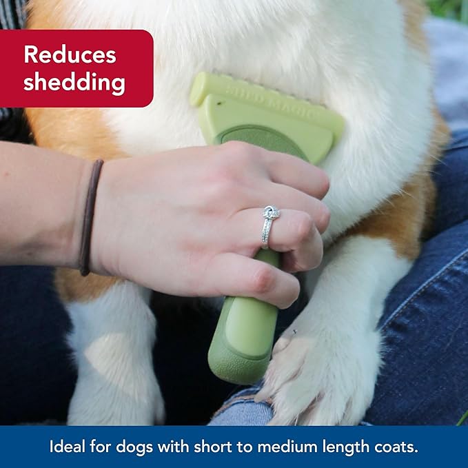 Coastal Pet Safari Shed Magic Deshedding Tool for Dogs with Medium to Long Hair - Deshedding & Detangling Dog Brush - Small