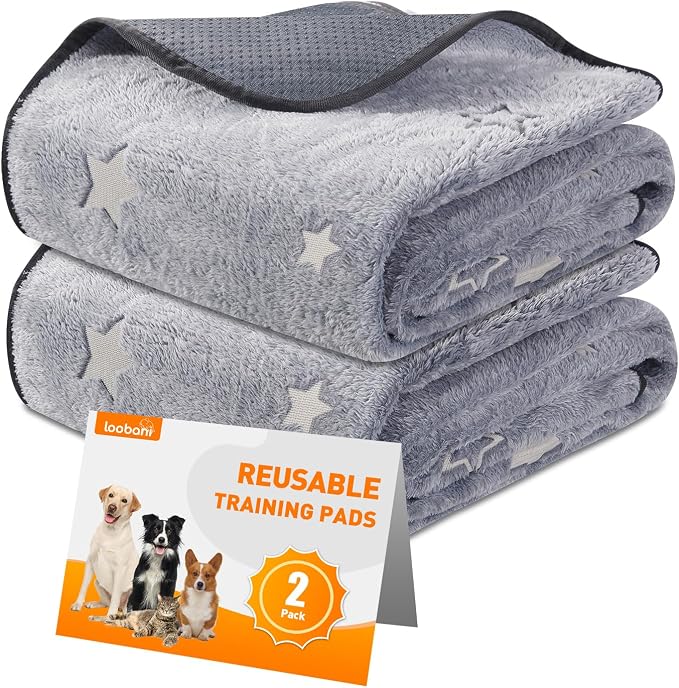 LOOBANI 31 x 36 Washable Pee Pads for Dogs 2 Packs for Playpen, Crate & Car | Super Absorbent, Non-Slip Backing, Soft Plush, Quick-Dry, Machine Washable, Reusable, Perfect for Crate & Car, Grey