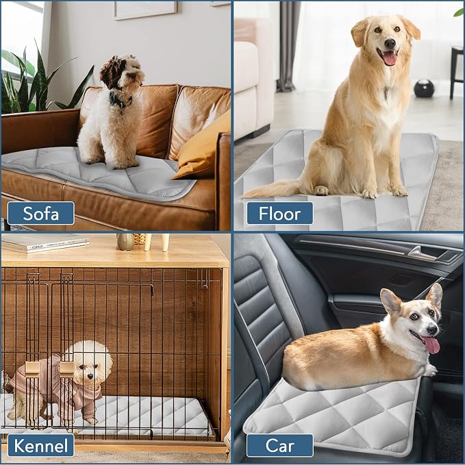 Dog Crate Pad 2 Pack (42" x 28"), Dog Crate Mat with Anti-Slip Bottom, Grey | Fits 42 Inch Crate, Soft, Machine Washable, Kennel Pad