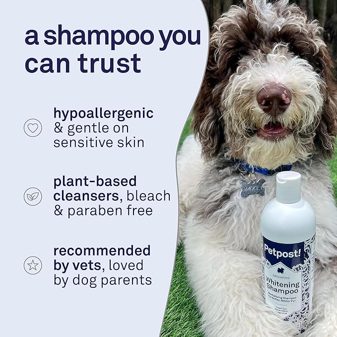Petpost | Dog Whitening Shampoo with Coconut Oil & Aloe. Brightens White & Light Coats, Moisturizes Skin. Watermelon Scent. 8 oz