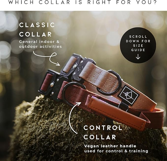 MADE TO ROAM Explorer Dog Collar | Heavy Duty Nylon & Durable Metal Buckle | Premium adjustable collar with rust-resistant hardware. Fits small to large dogs. 15 colors. Matching leash & harness