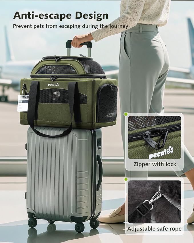 Pecute Top Expandable Airline Approved Pet Carrier for Cats, Olive Green | Airline Approved Dog Carrier, Under-seat, Breathable, Anti-scratch Mesh, Safety Leash, Locking Zippers, Leakproof Pee Pad