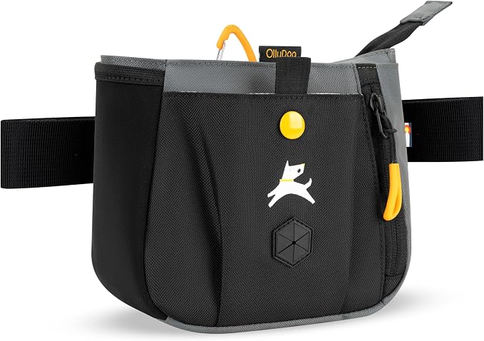 OllyDog Backcountry Day Bag | Dog Training Treat Pouch | Eco-Friendly Recycled Fabric Fanny Pack with Zipper Closure, Built-in Poop Bag Dispenser & Adjustable Waist Belt (Castle Rock)