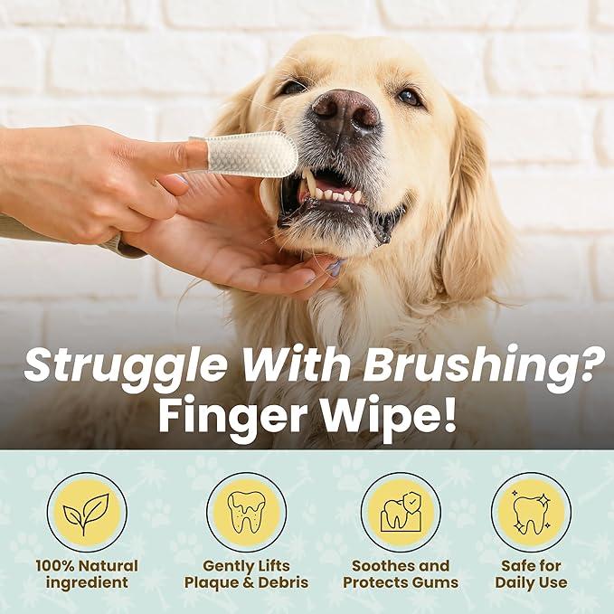 Cocopup Dog Teeth Cleaning Wipes Ear Nose Paws Fur Cleaner Pure Coconut Oil 2 Packs of 50