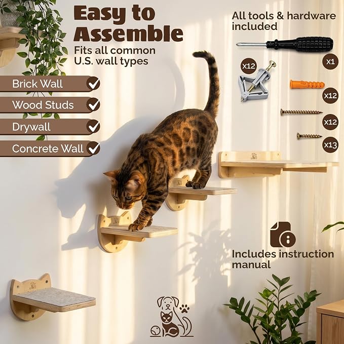 Snuggle & Play Cat Wall Shelves & Climbing System – Modern Furniture Set with 3 Steps & Perch for Indoor Cats, Includes Wand Toy
