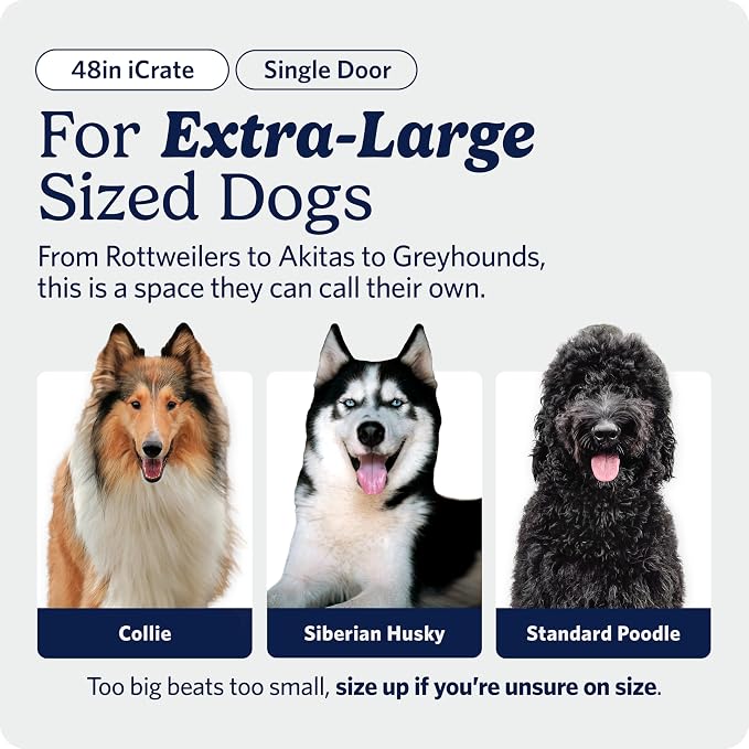 Midwest 48-Inch Single Door iCrate, for Extra-Large Breeds, 90-110 lbs