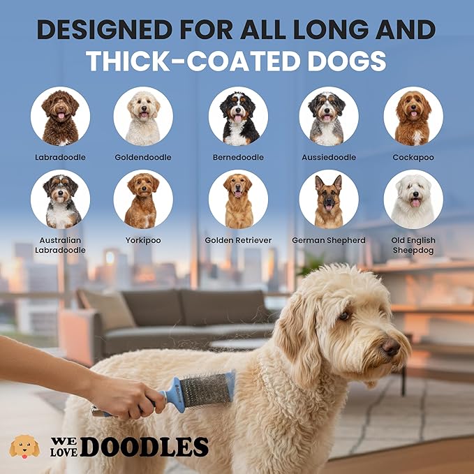 Double-Sided Slicker Brush for Dogs, Dematting & Deshedding Dog Brush, Dog Grooming Supplies, Long Pin Detangler for Short Hair & Long Hair Pets, Poodles, Doodles, & Goldendoodles (Large)