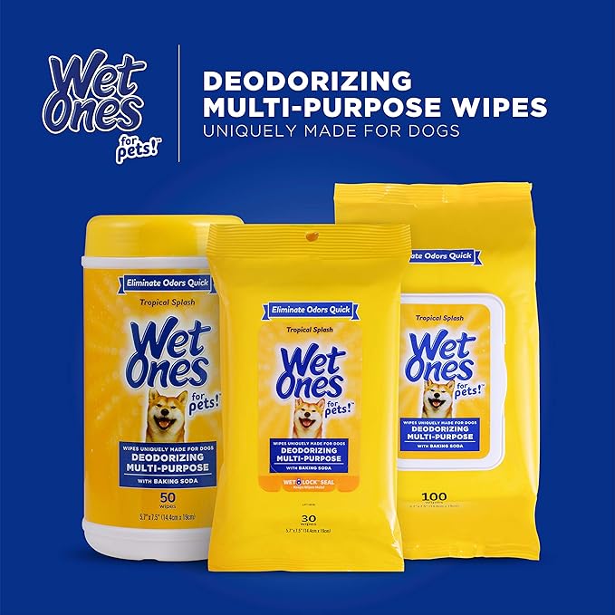 Wet Ones for Pets Deodorizing Multipurpose Dog Wipes with Baking Soda, Tropical Splash Scent - Deodorizing Dog Grooming Wipes with Wet Lock Seal, 100 Count - 12 Pack